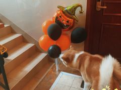 -星巴克(钦江路店)