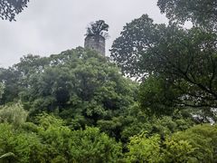 -江心屿景区