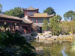 -顺峰山公园
