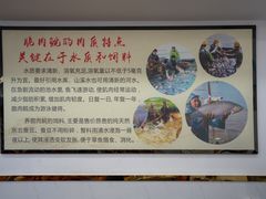 -红日饭店(裕隆三路店)