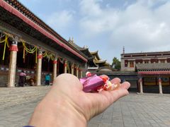 -塔尔寺