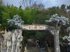 -王顺山国家森林公园