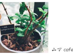 -山下C5cafe(惠通时代广场店)