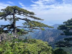 -黄山风景区