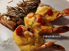 -碧特博格·20年品牌西餐厅(芜湖路店)