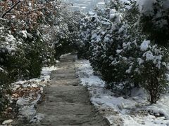 -八大处公园