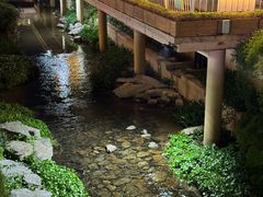 -正宗四川大竹面馆(光翠路南店)