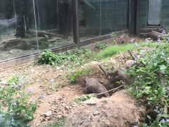 -皇家御河游(紫御湾码头)