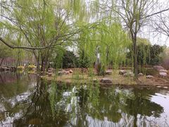 -郑州植物园