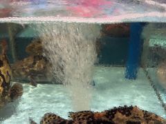 -阿伟海鲜楼·福建菜(延寿店)
