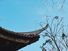 -顺峰山公园