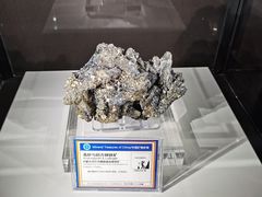 -中国地质大学逸夫博物馆