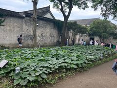 -绍兴鲁迅故里·沈园景区