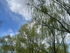 -燕郊植物园