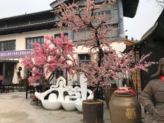 -渭南桃花源民俗文化园