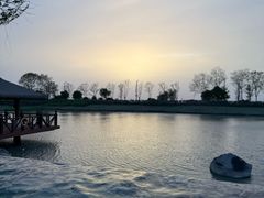 -苏州湾·王焰温泉