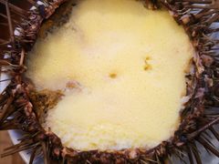 海胆蒸蛋-海胆小馆(东北水饺·春柳店)