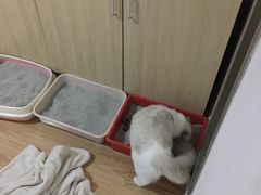 -骐奇宠物诊疗中心(南亭公路店)