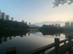 -重庆彩云湖湿地公园