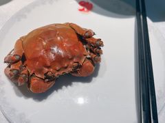 -阿五黄河大鲤鱼(英协路店)