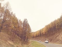 -塞罕坝国家级自然保护区