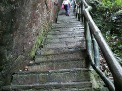 android_upload_pic-石台牯牛降景区