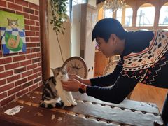 -猫小院猫主题咖啡厅(北锣店)