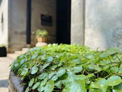 -兰亭风景区