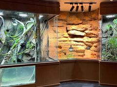 -帕帕拉兹宠物(亚洲旗舰店)