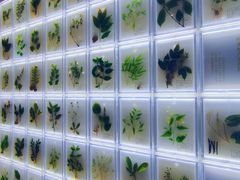 -广东中医药博物馆