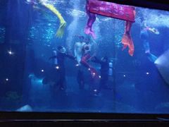 -蓬莱欧乐堡海洋极地世界