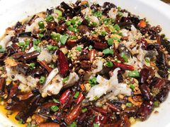 黑鱼花-三猫黑鱼花(南大店)