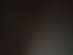 -锦泓老字号猪脏粉(东联大厦店)