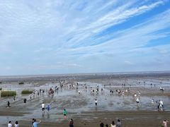 -启东黄金海滩景区
