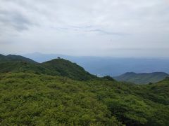 -大围山国家森林公园