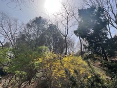 -大连植物园