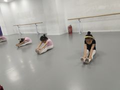 -西安小天鹅艺术团(金花路校区)