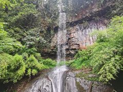 -龙苍沟森林公园