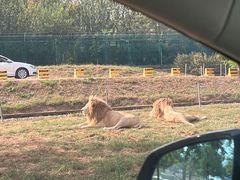 -秦皇岛野生动物园