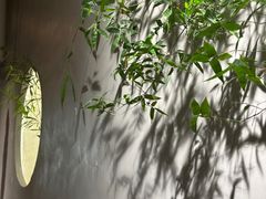 -本处·素食·融合料理(南油店)