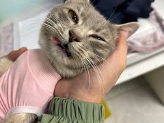 -达爱动物医院·犬猫分区·CT·复杂眼科(远洋山水分院)