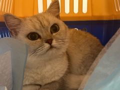 -comecome来吧宠物(奥克斯中心店)