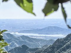 -大岭沟猕猴桃谷风景区
