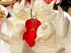 -芸山季·云南野生菌火锅(宝能环球汇店)