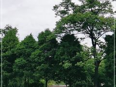 -咸阳湖景区-古渡公园