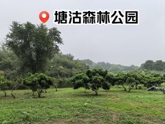 -塘沽森林公园