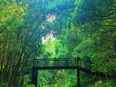 -同里国家湿地公园