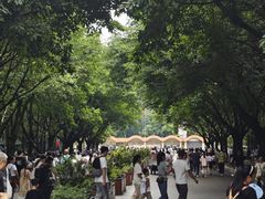 -成都动物园