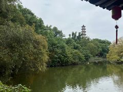 -江心屿景区