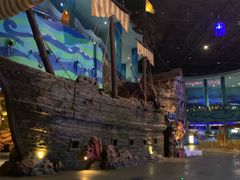 -青岛嘉年华主题乐园